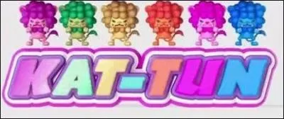 De combien de membres se compose Kat-Tun ?