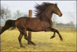 Le ' Alter-real  a disparu ;