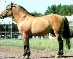 Le  Viatka  a-t-il diparu ?