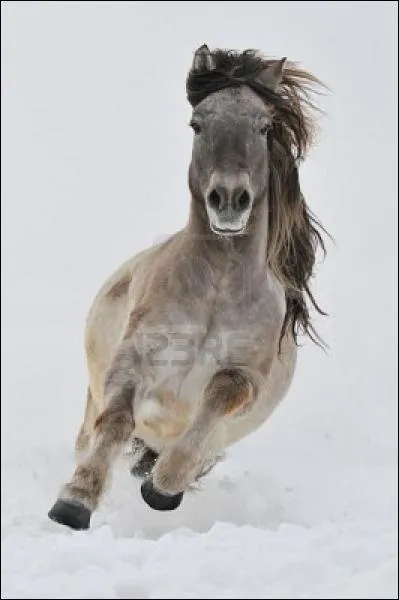 Et le  Mardy  , existe-t-il ?