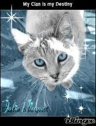 Qui est le mentor de Nuage de Plume ?