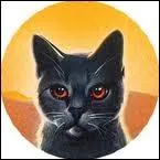 Qui est le mentor de Nuage d'Orage ?