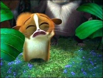 Pourquoi ce petit lmurien pleure-t-il ?