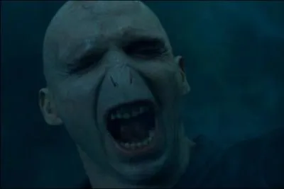 Qui est Voldemort ?