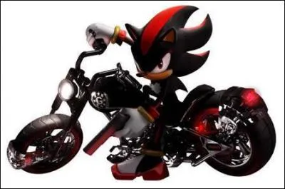 Quelle est la traduction du prnom du hrisson noir du monde de Sonic, Shadow ?