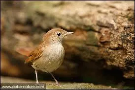 ''Quand nous chanterons le ---------------------- / Et gai rossignol et merle moqueur / Seront tous en fête / Les belles auront la folie en tête / Et les amoureux du soleil au cœur.''