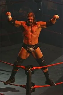 Quel est le surnom de Triple H ?