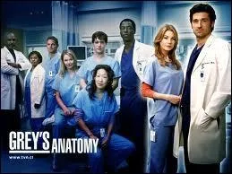 Qui sont les premiers internes de la saison 'Grey's Anatomy' ?