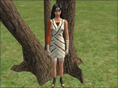 Qui est ce personnage ?