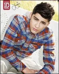 Combien de tatouages Zayn a-t-il ?