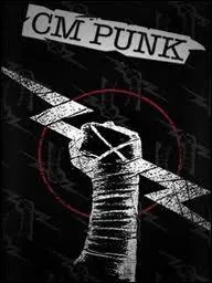 Plusieurs personnes se demandent ce que veut dire  C. M  dans CM Punk. Qu'a dit Punk ?
