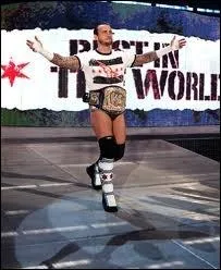 Lesquels de ces chansons sont des musiques d'entre de CM Punk ?