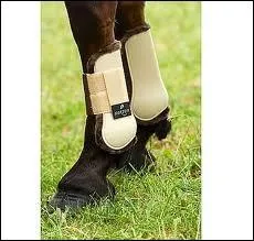 Quelle est cette protection ?