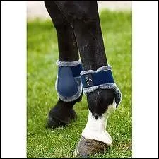 Quelle est cette protection ?