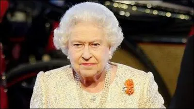 Que peut on ( pouvait on ) trouver sur e bay ?