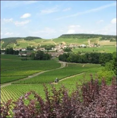 Quelle entreprise de commerce lectronique amricaine a dclare aujourd'hui, qu'elle envisageait de s'installer en Bourgogne ?
