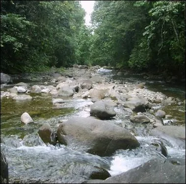 Quels htes de nos rivires sont menacs de disparition selon une enqute dvoile hier par le Musum d'histoire naturelle ?