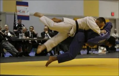 Quel judokate franaise, ancienne vice-championne olympique et plusieurs fois championne d'Europe, n'a pas t retenue par la Fdration Franaise de Judo pour les JO de Londres ?