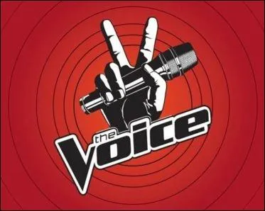 Comment s'appelle le ou la gagnant(e) de  The Voice  ?