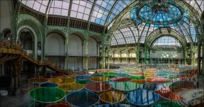 Quel l'artiste est  l'honneur de l'exposition Monumenta au Grand Palais cette anne ?