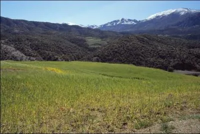 Quel est le nom du deuxime sommet du Moyen-Atlas, culminant  3192 mtres ?