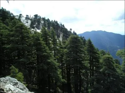  combien de mtres s'lve le Tidghine, le plus haut sommet du Rif ?