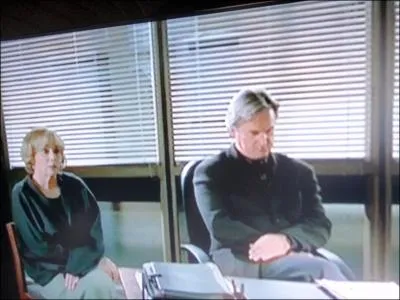 Srie britannique dans laquelle Trevor Eve incarne l'inspecteur Peter Boyd, spcialiste de crimes commis dans le pass !