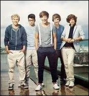 Quelle est une des phobies de Niall ?