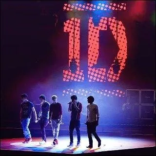 Comment appelle-t-on les fans des One Direction ?