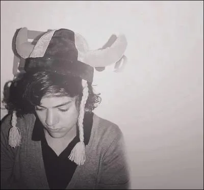 Quel est le nom et prnom complet de Harry ?