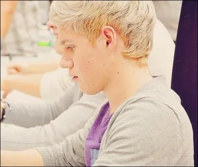 Quel est le nom et prnom complet de Niall ?