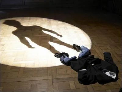 De quelle comdie musicale se titre provient-il ?  ----> je serais ton ombre.  