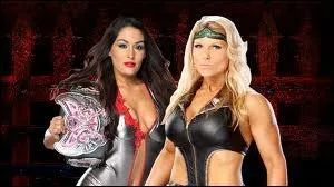 Quelle est la vainqueure entre Layla (qui remplace Beth Phoenix) et Nikki Bella dans un match simple pour le Divas championship ?