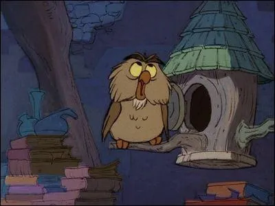 D'o est extraite cette image ?