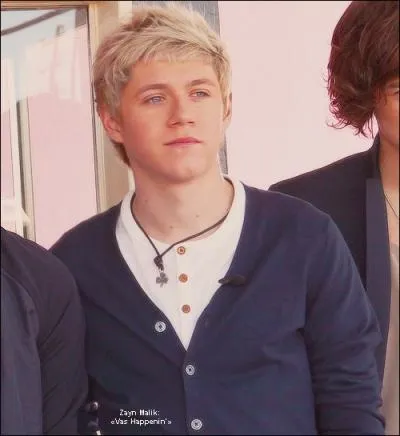 Le dfi de Niall tait :