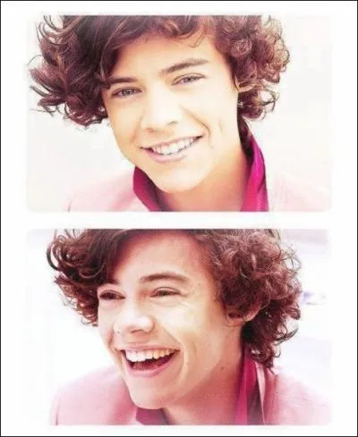 Harry s'est vu proposer une carrire solo :