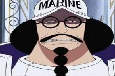 Qu'est-ce que Sengoku a annonc lors la bataille de MarineFord ?