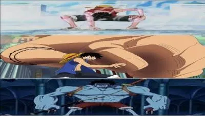 Sous quelle forme Monkey D. Luffy peut-il utiliser le  Soru  ?