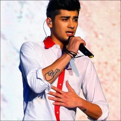 Zayn a deux grandes phobies; lesquelles ?