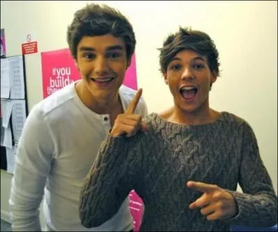 Liam n'a pas le numro de portable de deux de ses compagnons du groupe. Desquels ?