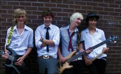 Avant de faire partie du groupe, Harry jouait avec un groupe; comment s'appelait-il ?