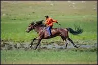 Que faut-il faire pour demander  son cheval de partir au galop ?