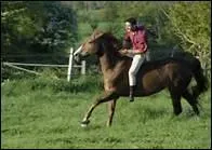 Laquelle de ces aides est-elle une aide dite naturelle ?