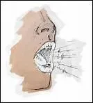 A quoi sert la voix, en quitation ?