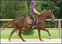 Que faut-il faire pour faire avancer son cheval ?