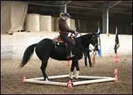 Que faut-il faire pour demander  son cheval de tourner ?