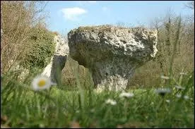 ''Y'a eun AJHASSE qu'essaie de m'voler ma bague'' ... Qui est cette ajhasse (dur à dire : ahhhhhhhasse) ?
