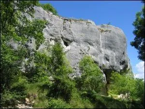 ''Le Robert, y s'MOUCHE pas avec un DAIL ! ''