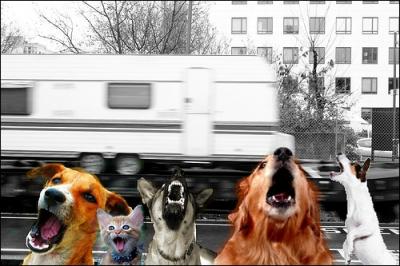 Quel proverbe franais est illustr dans l'image ci-contre ?