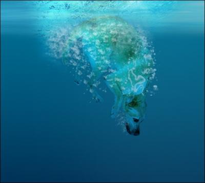 Quel proverbe franais est illustr dans l'image ci-contre ?